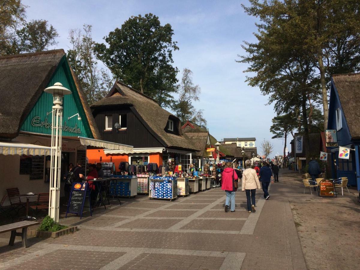 Spatzennest Prerow
